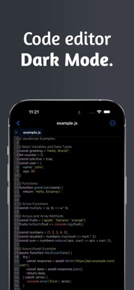 Quillr Code Editor screenshot 2