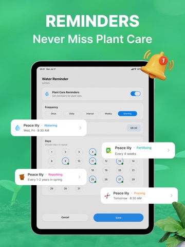 Leafa: AI Plant Identifier iPad screenshot 5