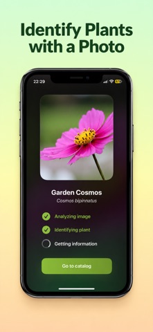AI Plant Identifier - Plantory Screenshot 1 of 10