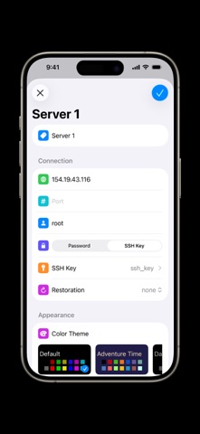 荔枝 SSH screenshot