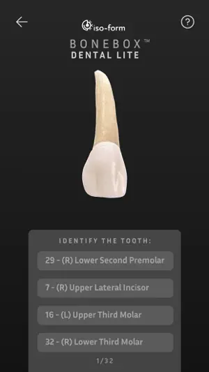 BoneBox™ - Dental Lite screenshot 3