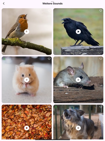 TalkyCat – Talk to Your Cat iPad screenshot