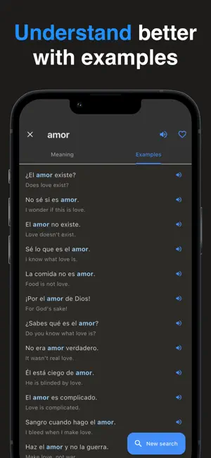 Che: Argentinian Dictionary screenshot 4
