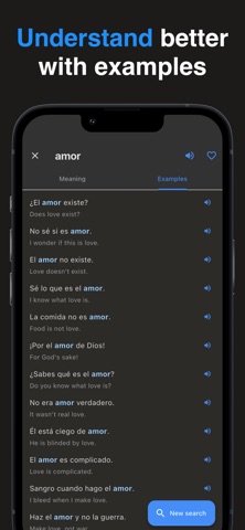 Che: Argentinian Dictionary Screenshot 4 of 5
