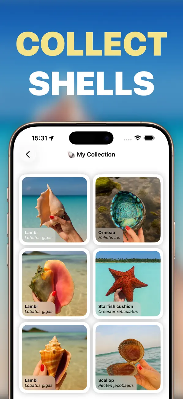#3. Sea Shell Identifier - Shellie (iOS) di: NBApps