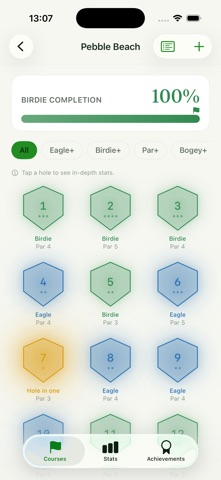 Birdie Hunter Screenshot 3 of 6