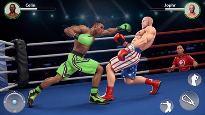Boxing Star Fight: Hit Action Screenshot