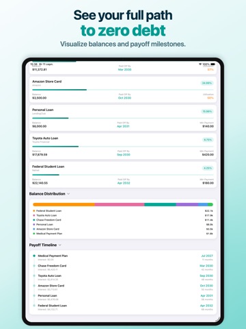 Debt Payoff Tracker & Planner iPad screenshot