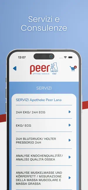 Peer Online screenshot 2