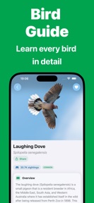 Bird Call Identifier - Bird ID screenshot