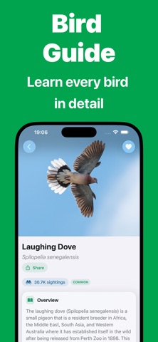 Bird Call Identifier - Bird ID iPhone screenshot