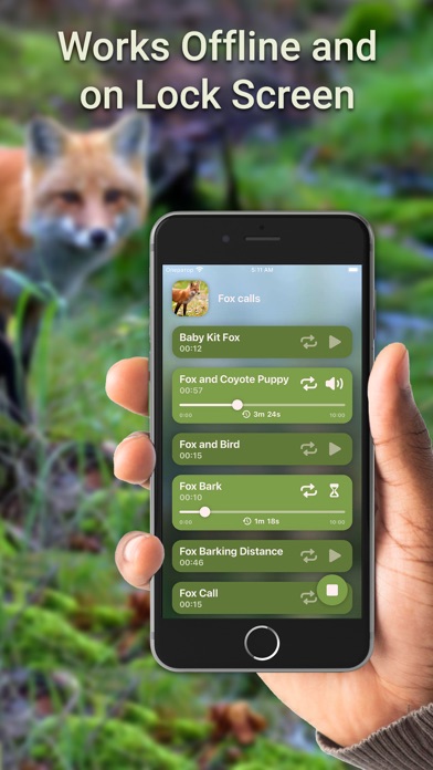 Screenshot 3 of Hunting Calls: Fox App