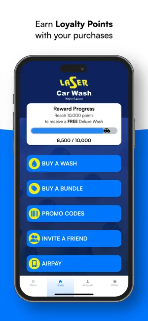 Laser Car Wash screenshot 2