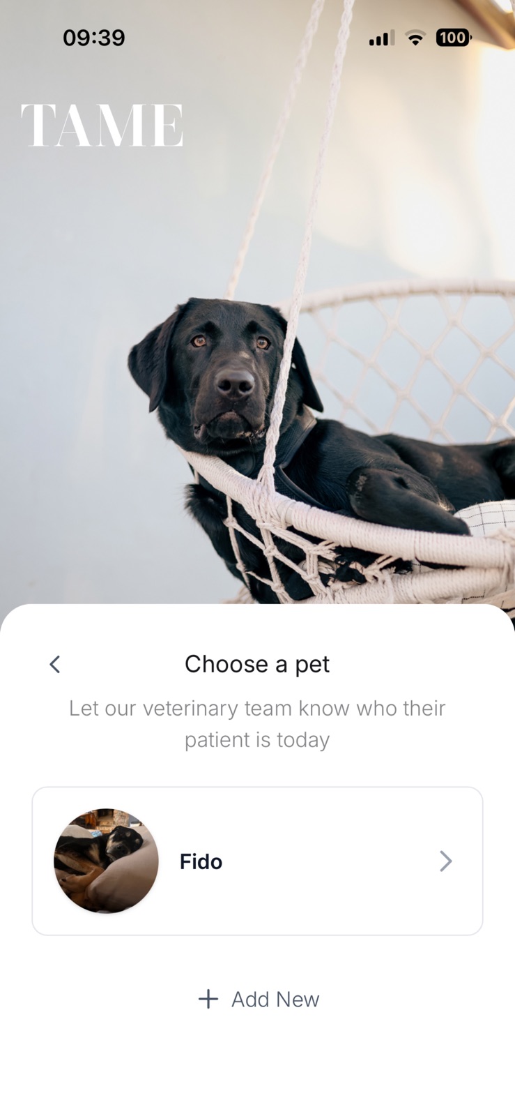 Tame Pet App iphone screenshot 2
