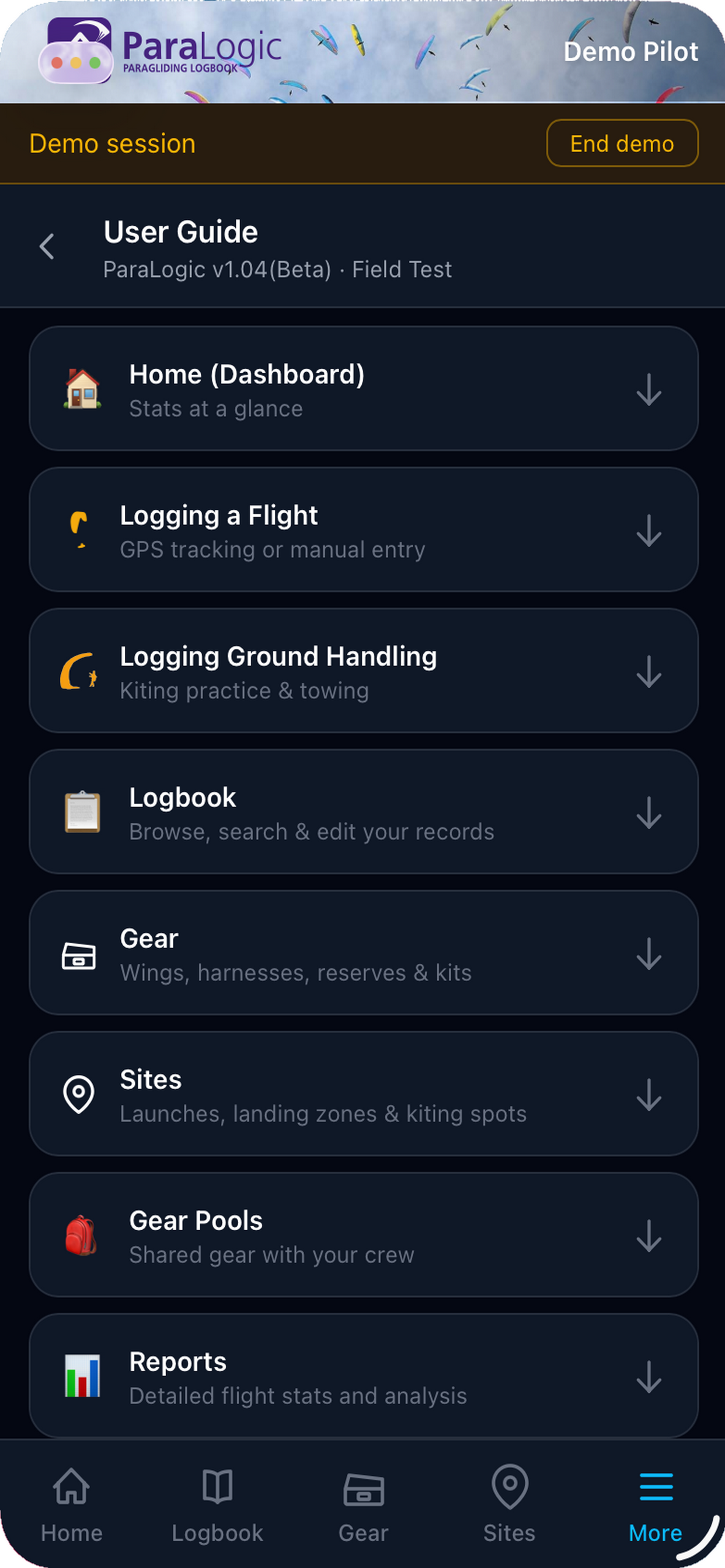 ParaLogic screenshot 10