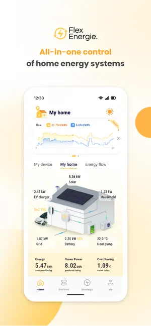 Flex Energie EMS screenshot 1