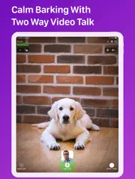 Pet Monitor VIGI ipad bilder 2