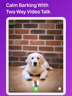 Pet Monitor VIGI iPad image 3