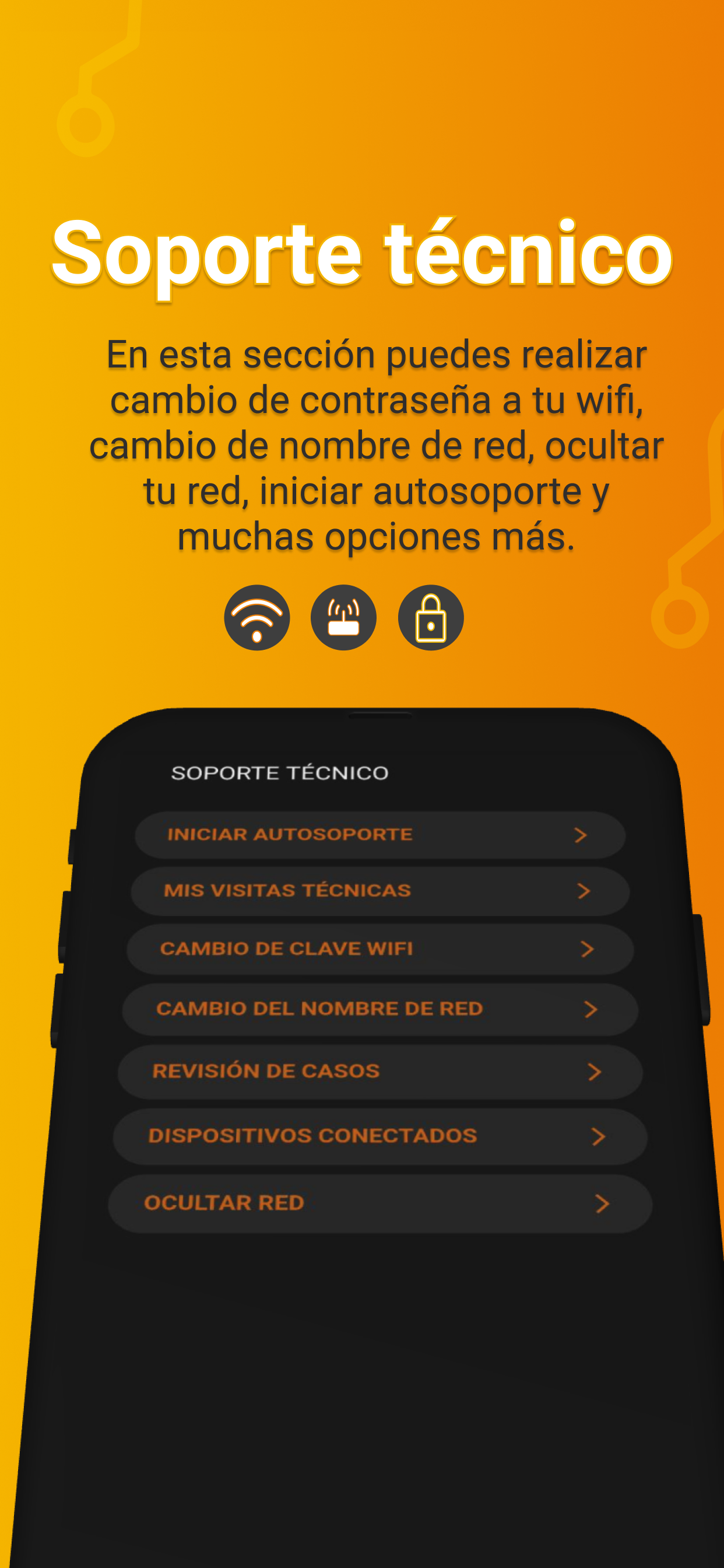 Netlife Access