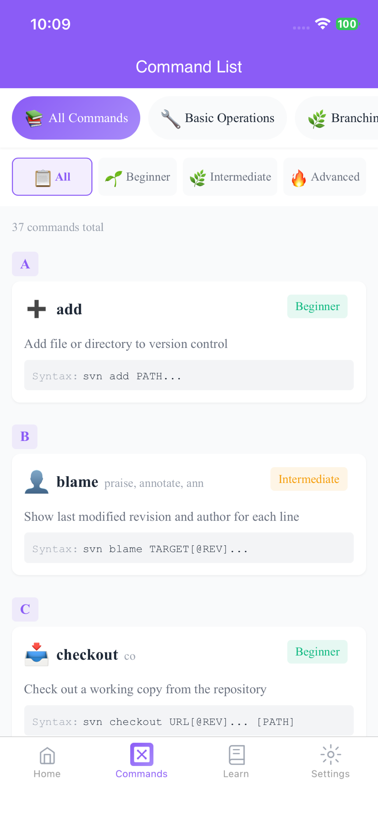 SVN Manual - Command Guide screenshot 3