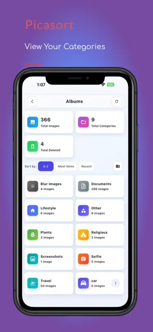 Picasort screenshot 4