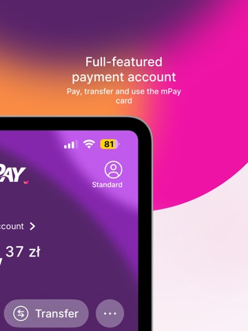 mPay - mobile payments iPad screenshot 2