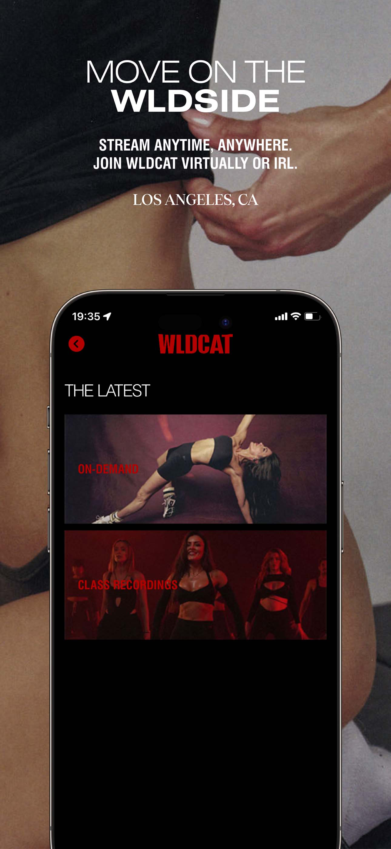 WLDCAT screenshot 5