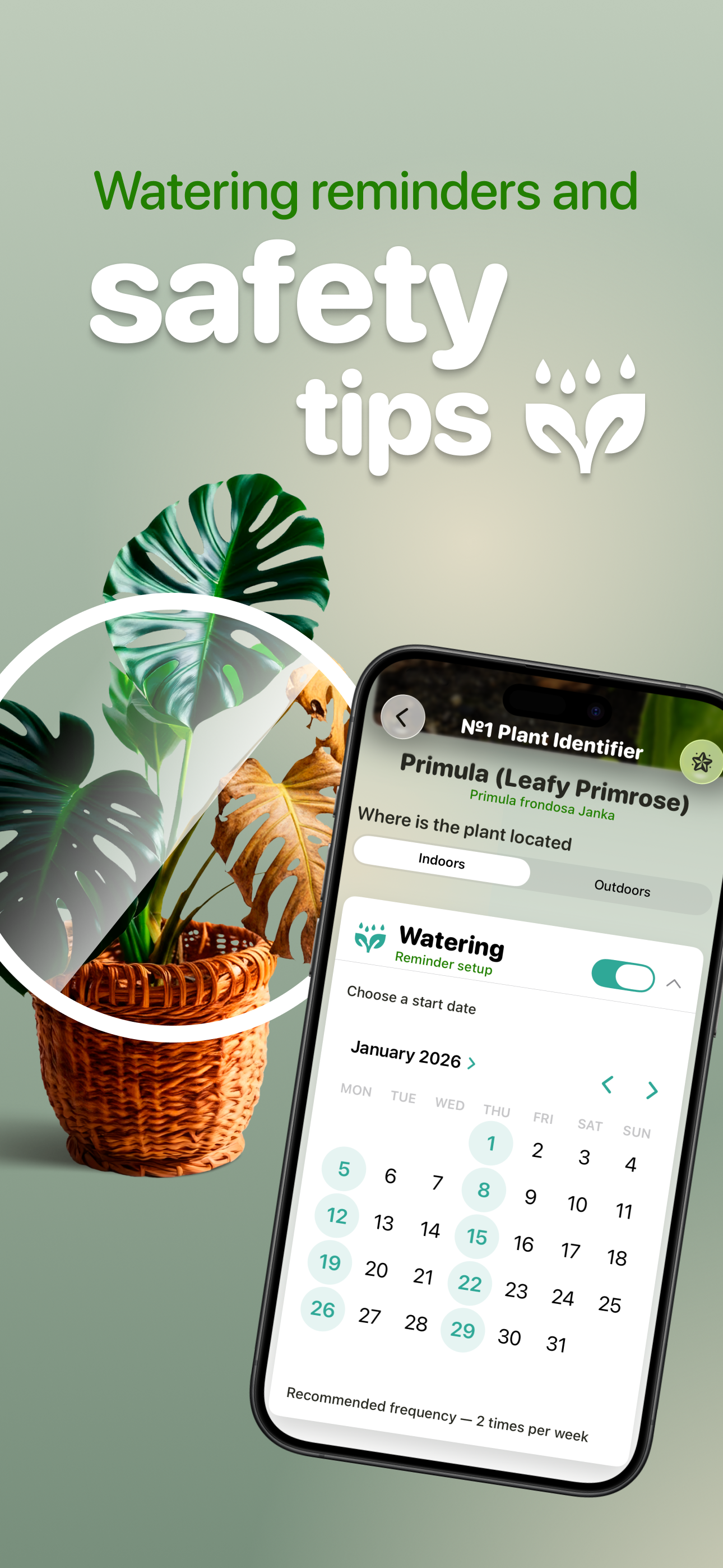 Plant Identifier №1 screenshot 5