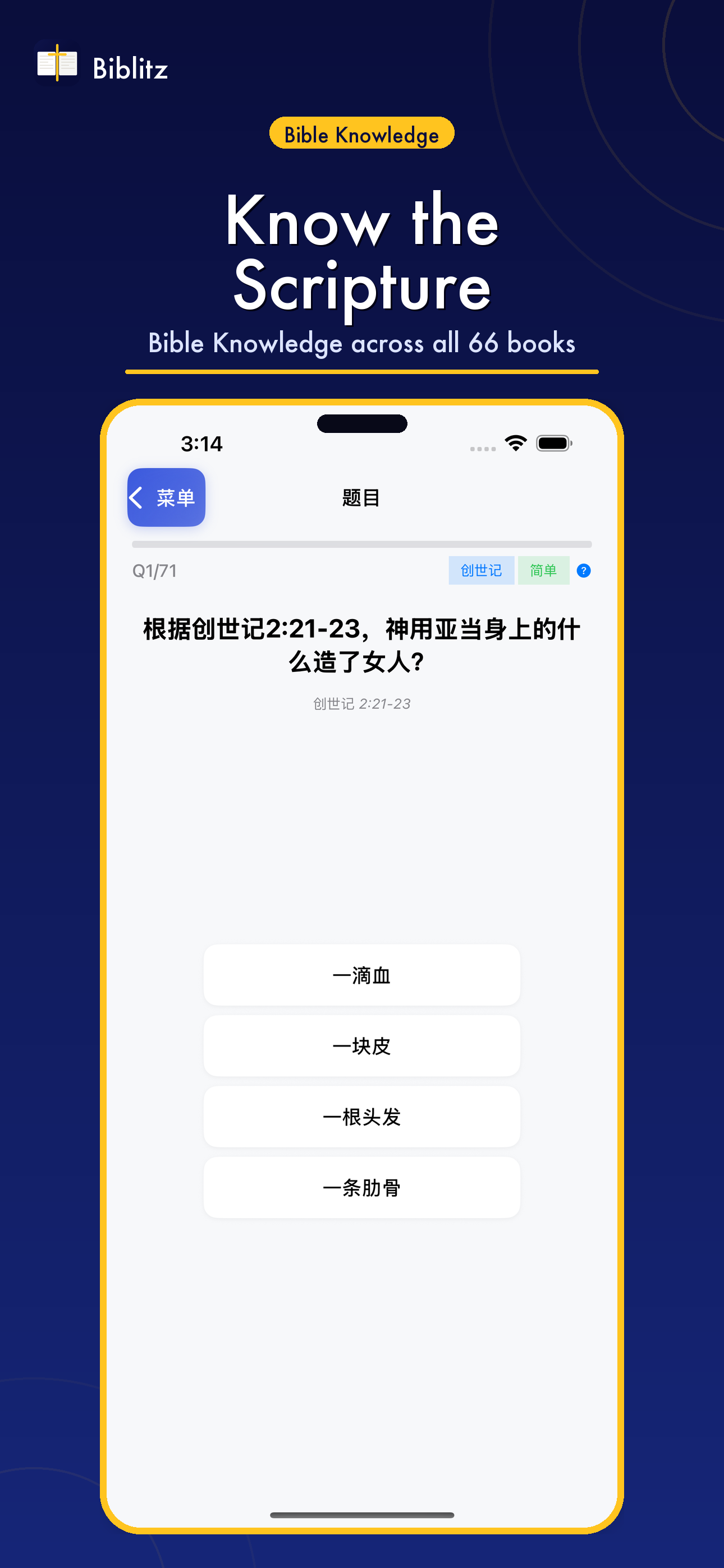 Biblitz