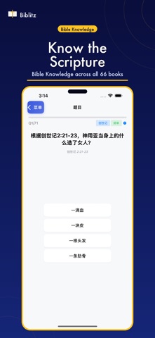 Biblitz screenshot