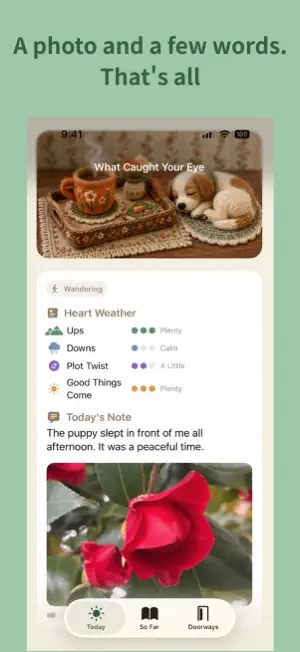 What Caught Your Eye screenshot 3