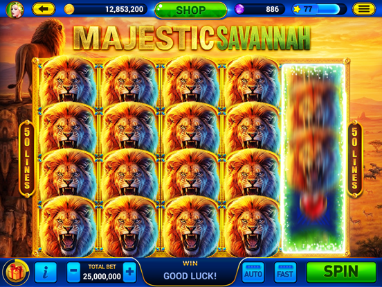 Screenshot #5 pour Golden City Casino