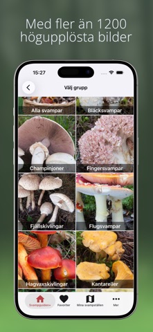 Svampguiden+ screenshot