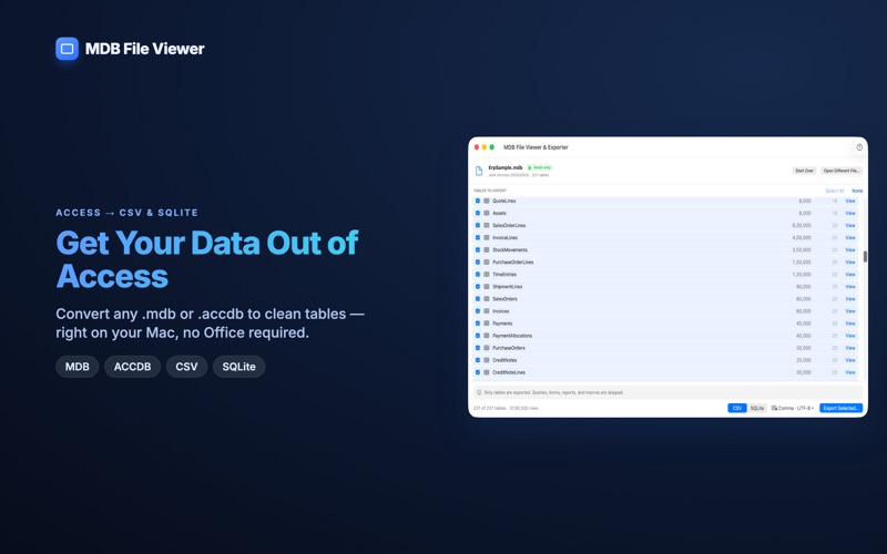 MDB File Viewer & Exporter screenshot