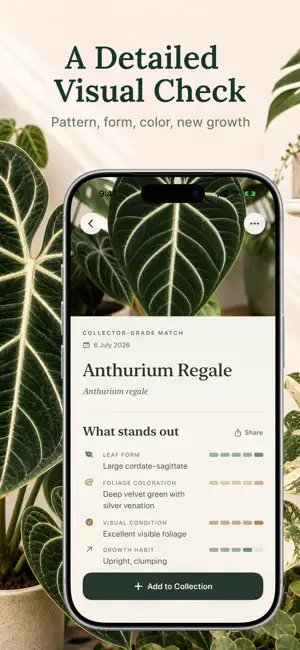 Aroida: Plant Health & ID screenshot 3