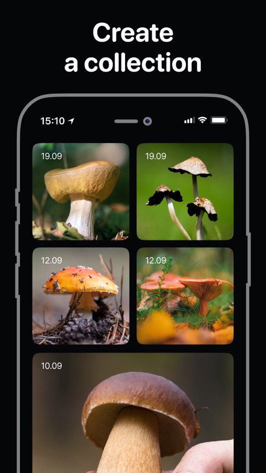 #3. Mushroom Identifier - Fungi ID (iOS) 由: Palina Baltsevich