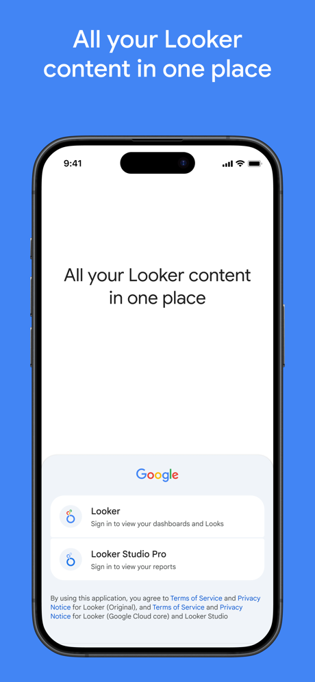 Looker screenshot 1