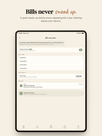 Envelope Budget App - Tuck iPad screenshot