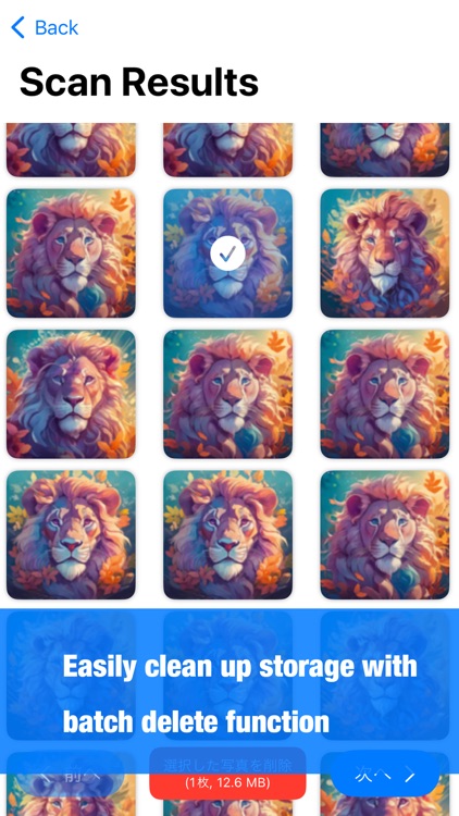 Storage Cleaner: AI Organizer