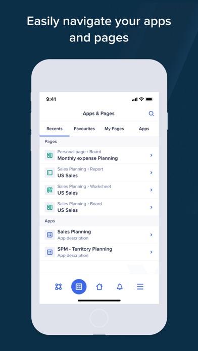 Anaplan Screenshot