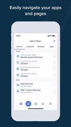 Anaplan screenshot 1