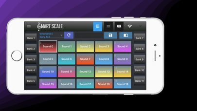Screenshot #3 pour Smart Scale Controller
