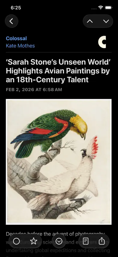 NetNewsWire: RSS Reader screenshot 5