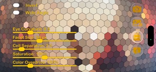 Bee Vision Cam screenshot