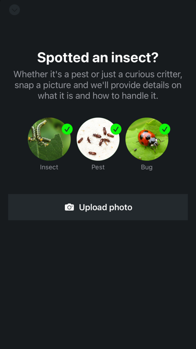 Bug & Insect ID Identification Screenshot
