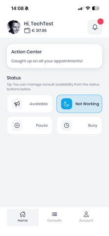 ConsultantWS screenshot