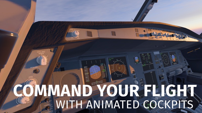 Infinite Flight Simulator screenshot 6