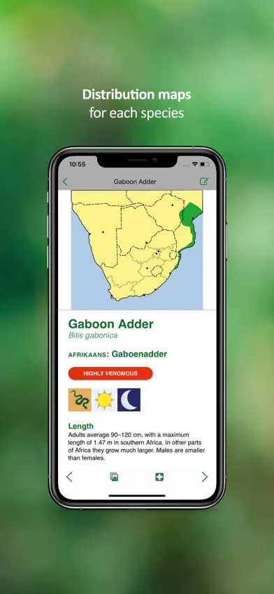 eSnakes Southern Africa screenshot 5