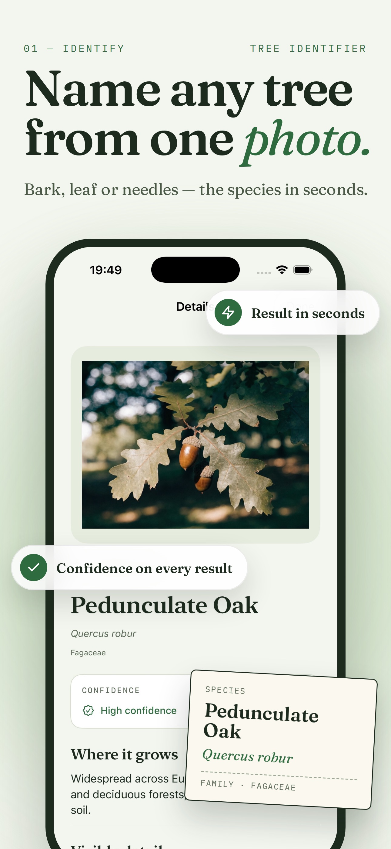 Screenshot 1 of Tree Identifier: Bark Scanner