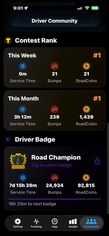 RoadPulse screenshot